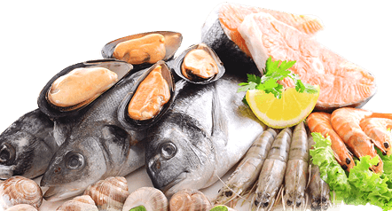 High-quality hygienically processed products